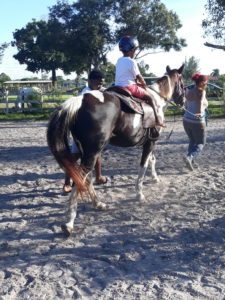 horse therapy