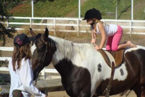 Learning to ride horse 